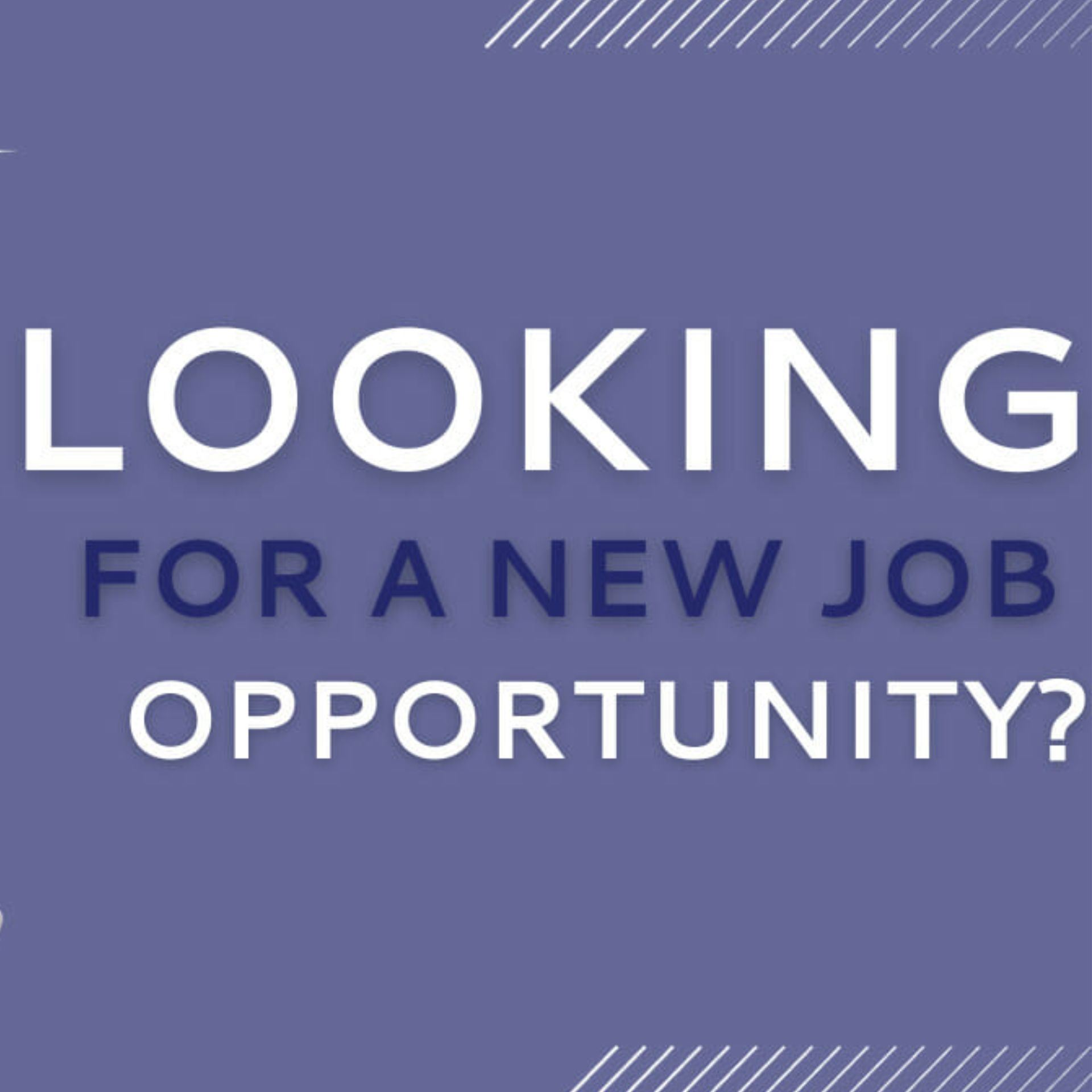 Looking for employment opportunity? 11.12.2025