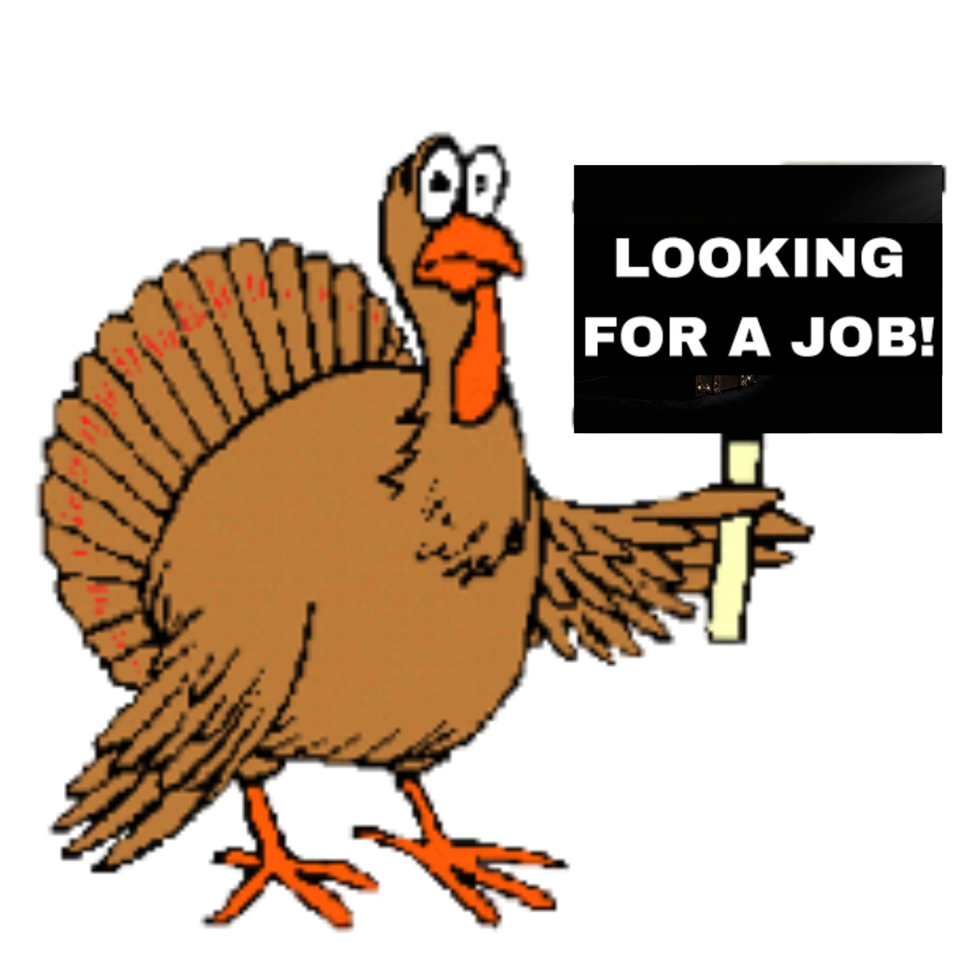 Turkey - Looking for a job