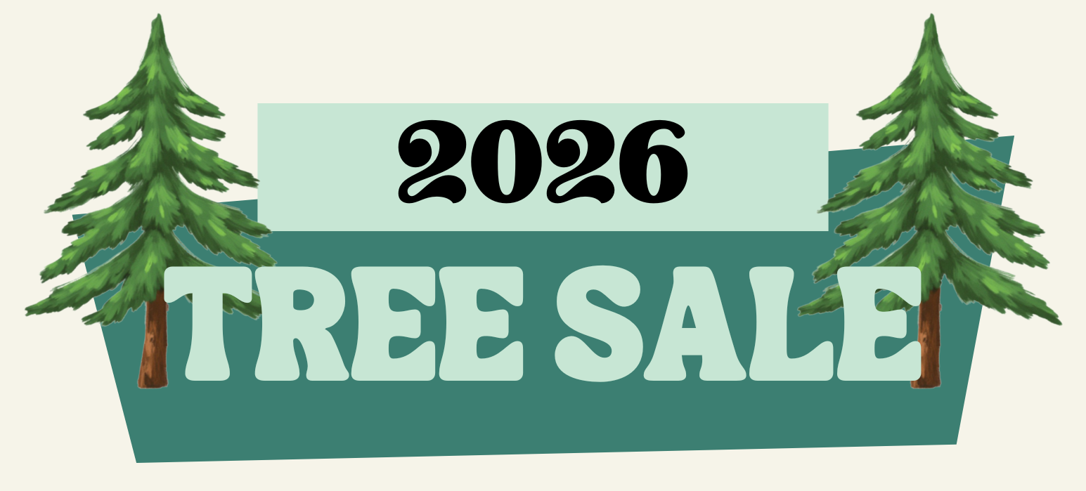tree sale 2026